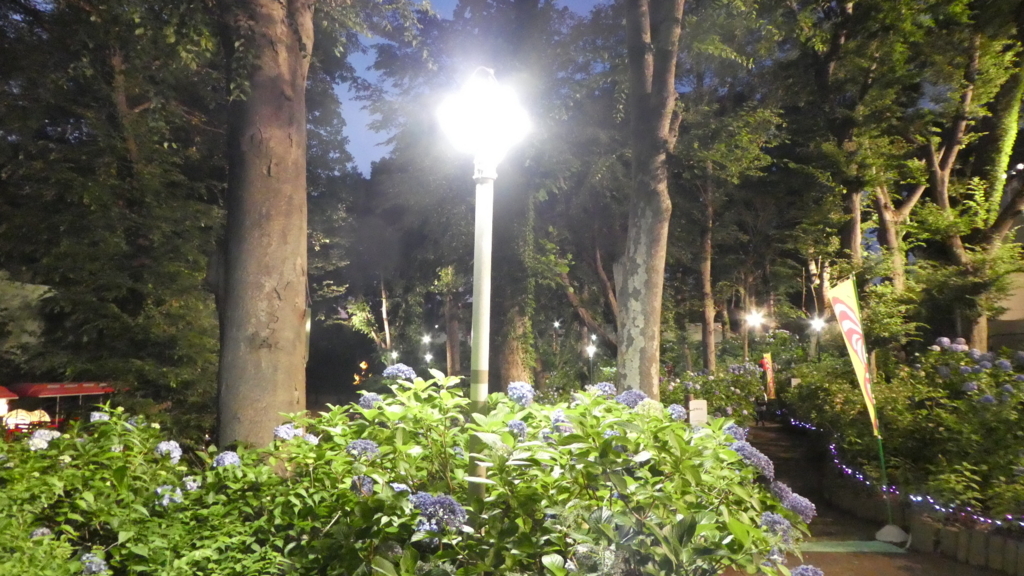 f:id:ho8810:20180730174455j:plain