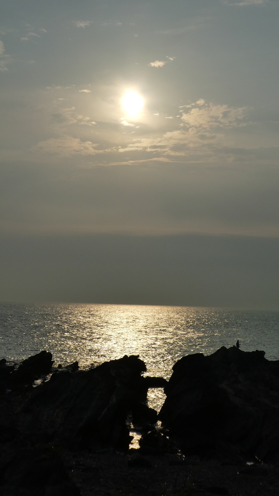 f:id:ho8810:20180910154102j:plain f:id:ho8810:20180910154102j:plain