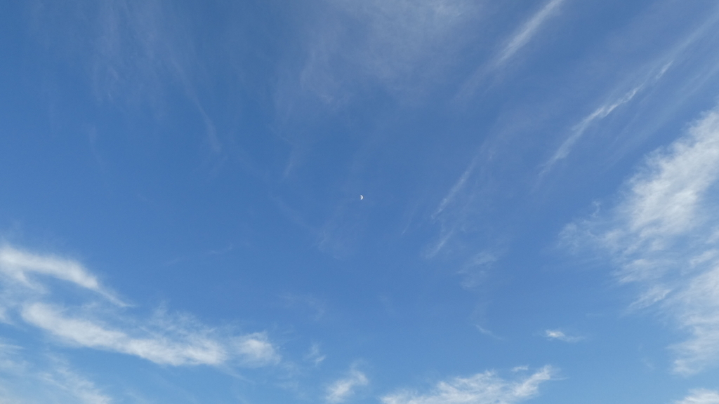 f:id:ho8810:20181010152333j:plain