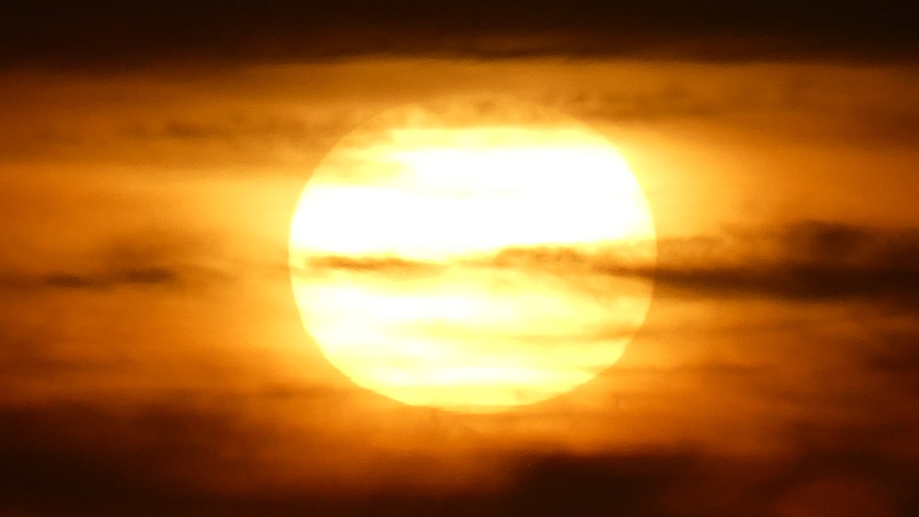 f:id:ho8810:20181010155218j:plain