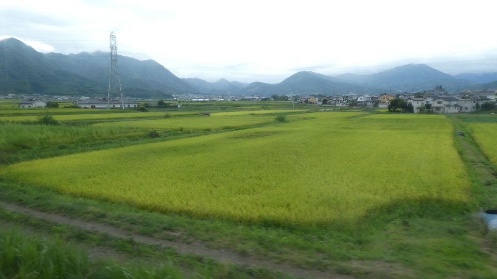 f:id:ho8810:20181123093707j:plain