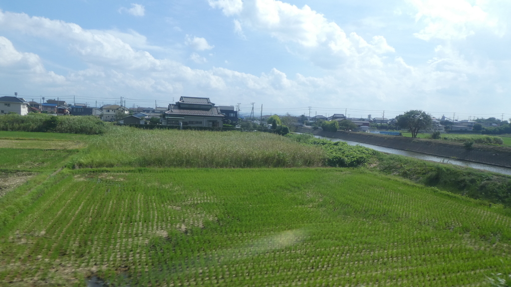 f:id:ho8810:20190103193834j:plain