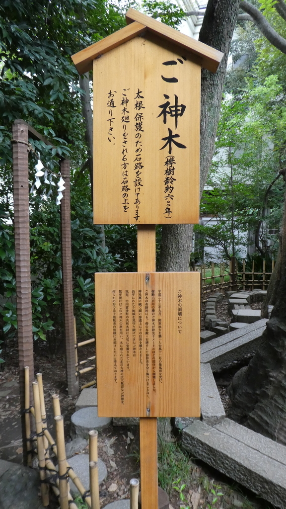 f:id:ho8810:20190220190635j:plain
