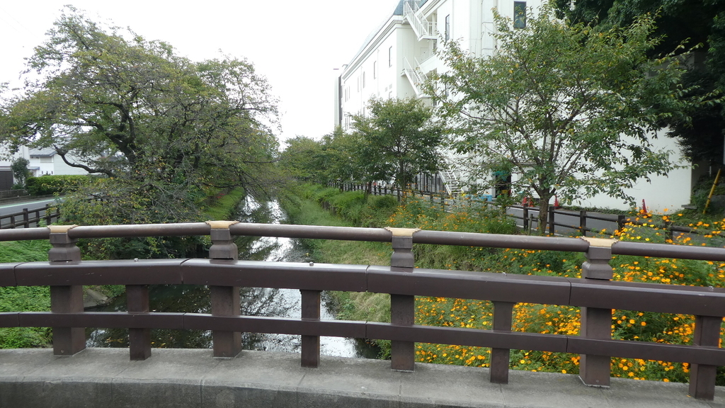 f:id:ho8810:20190220192301j:plain