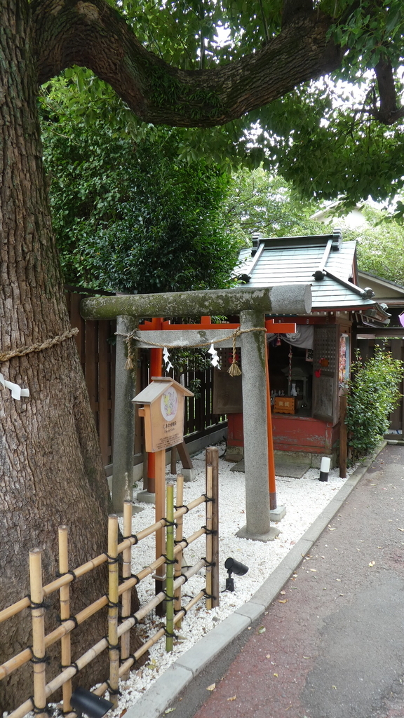f:id:ho8810:20190221175913j:plain f:id:ho8810:20190221175913j:plain