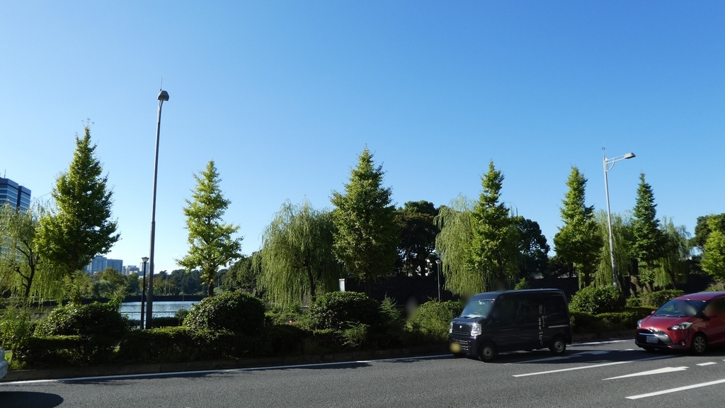 f:id:ho8810:20190306184408j:plain