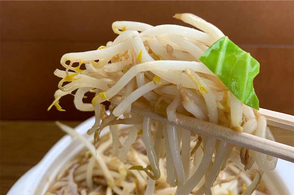 f:id:ho_po_vo_2019:20210316183458j:image