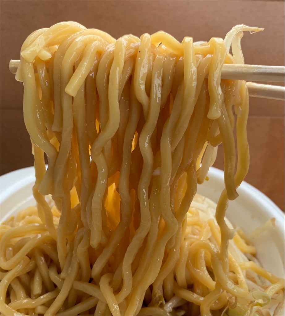 f:id:ho_po_vo_2019:20210316184518j:image