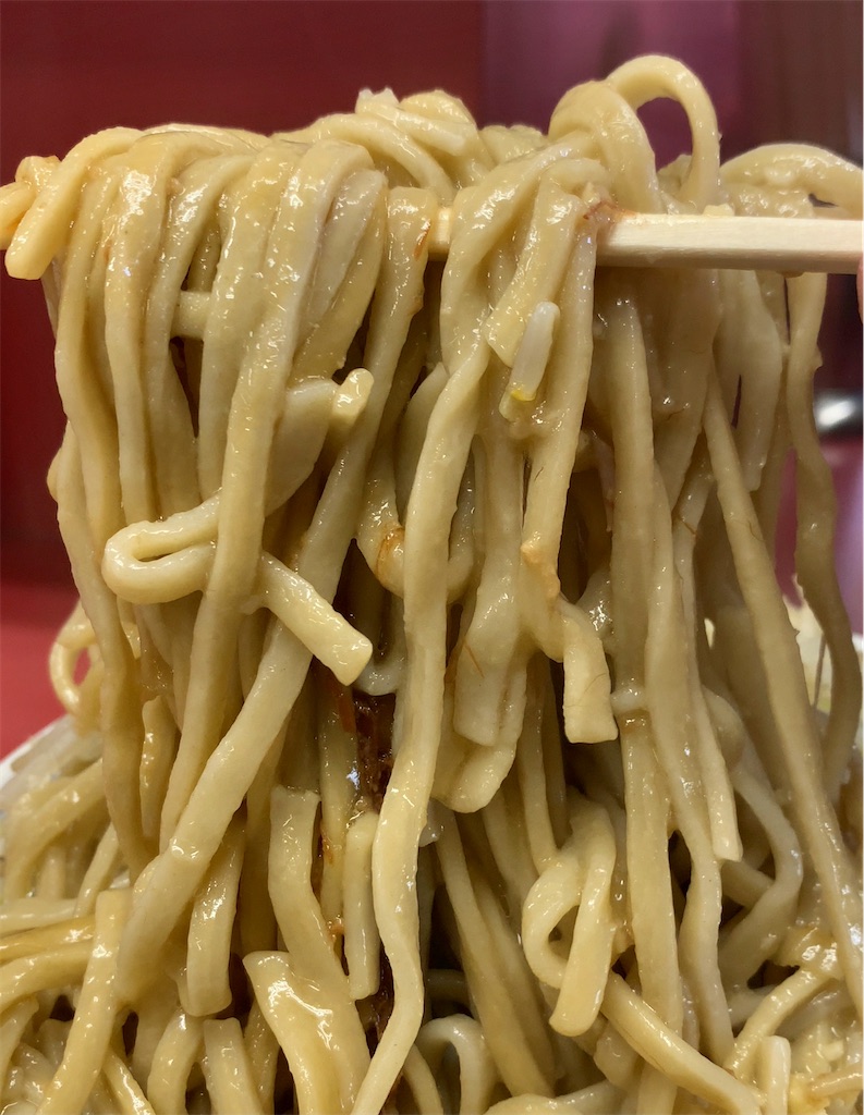 f:id:ho_po_vo_2019:20210322142647j:image