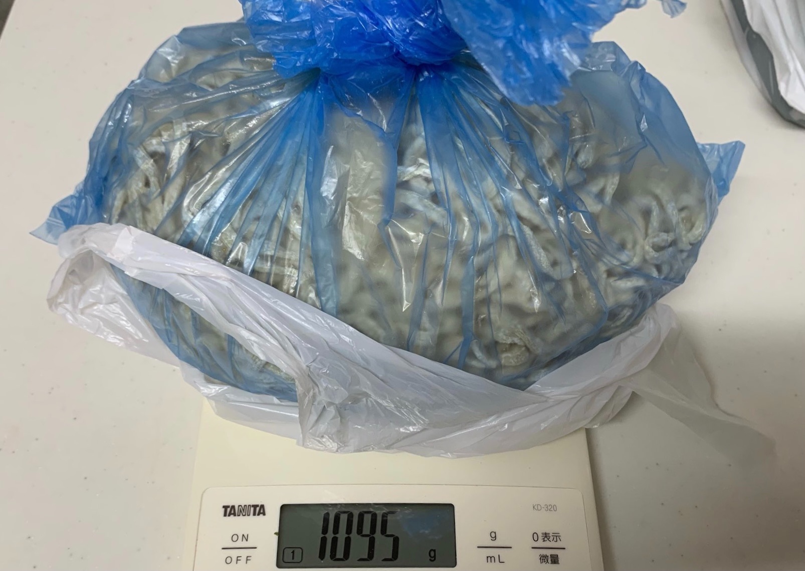 f:id:ho_po_vo_2019:20210901151000j:image f:id:ho_po_vo_2019:20210901151000j:image