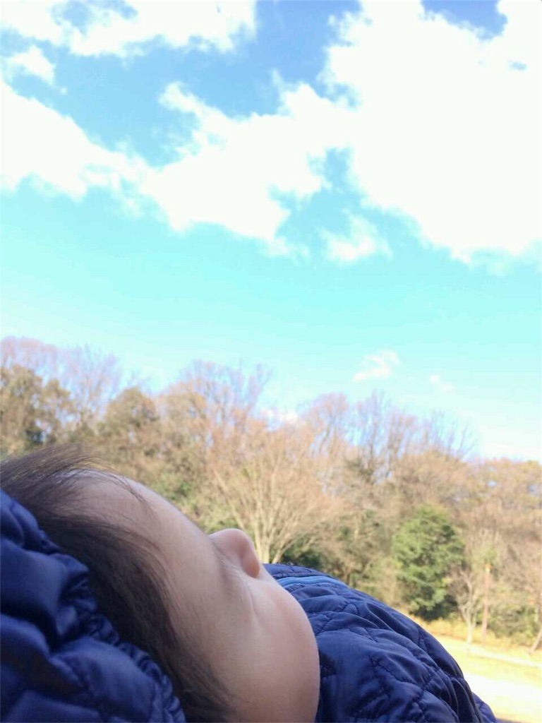f:id:hoarder:20171216013501j:image