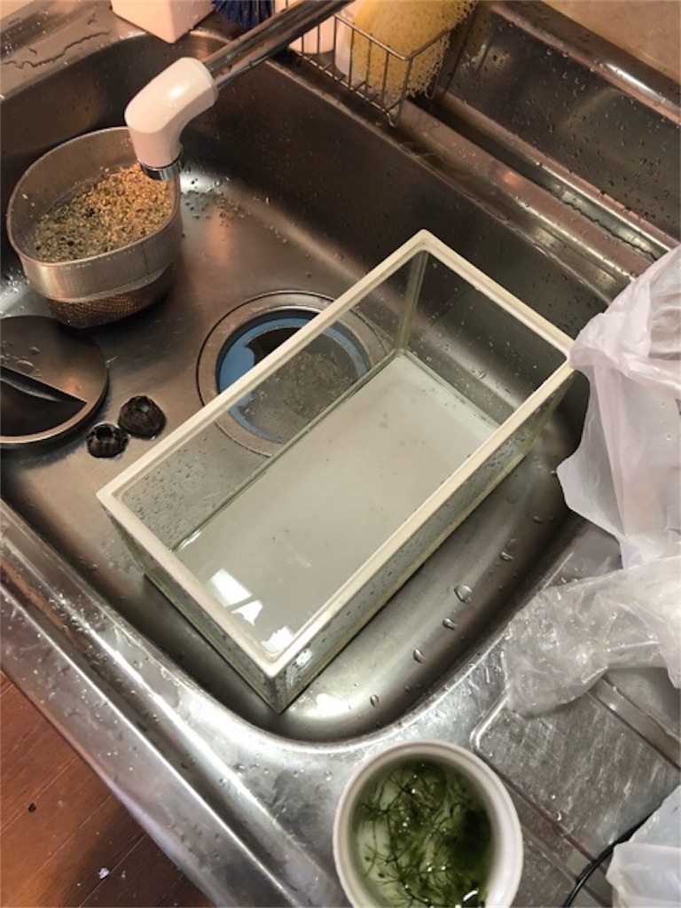 f:id:hoarder:20180610214738j:image