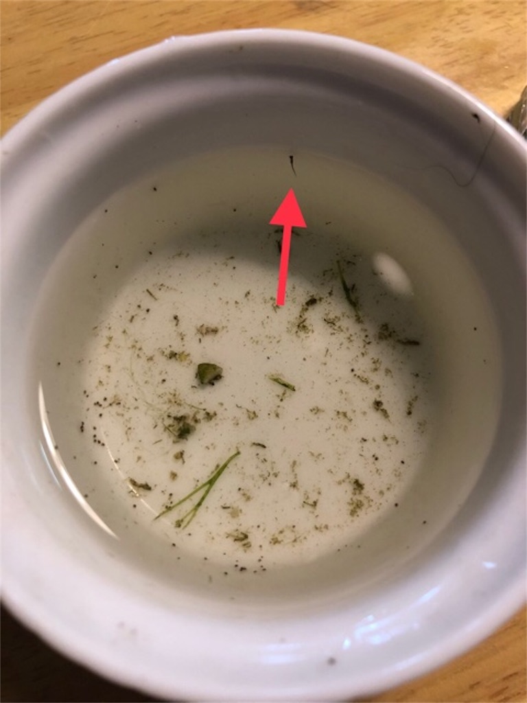 f:id:hoarder:20180610215042j:image