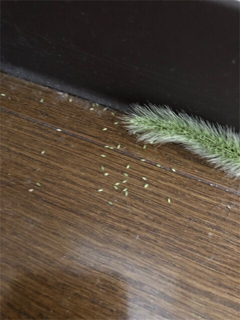 f:id:hoarder:20180619224229j:image
