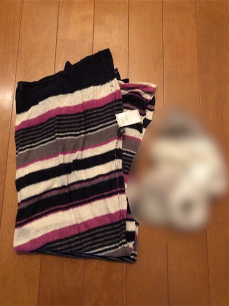 f:id:hoarder:20180711081735j:image