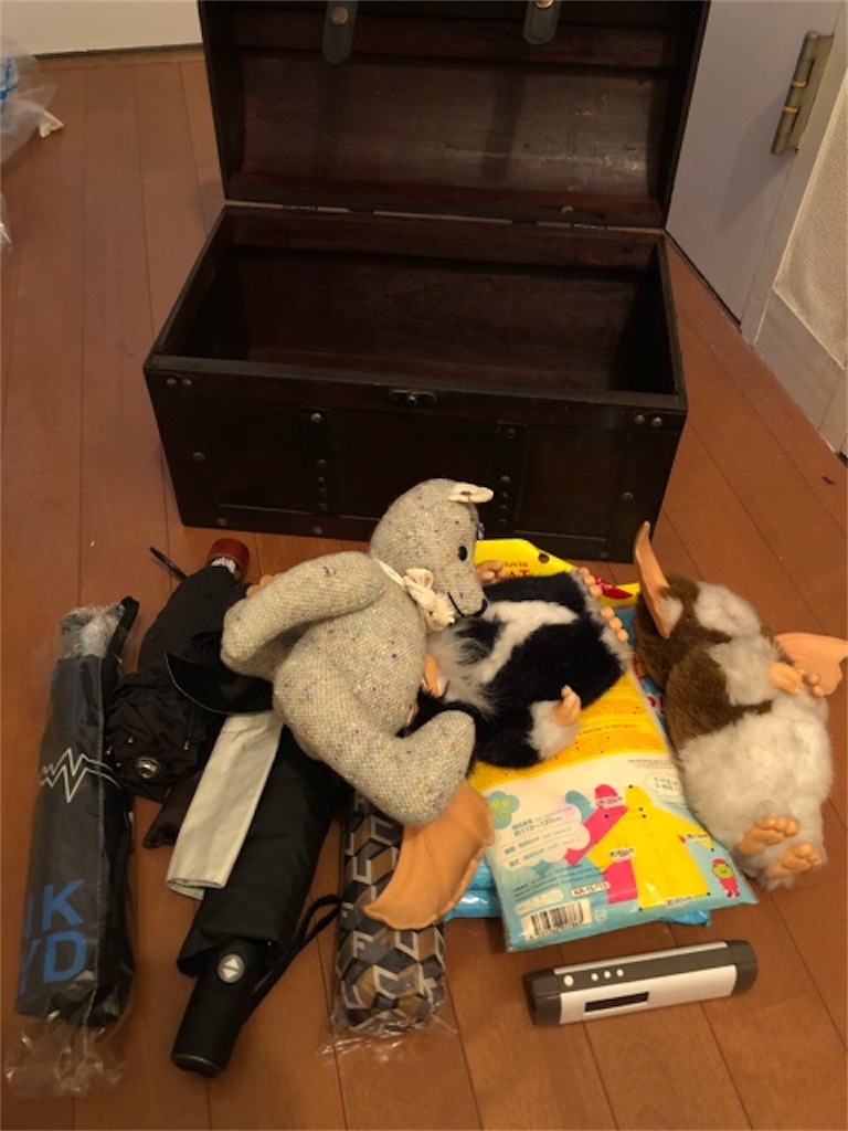 f:id:hoarder:20180722074321j:image