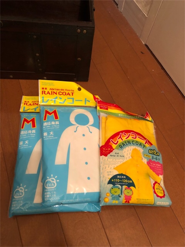f:id:hoarder:20180722074351j:image
