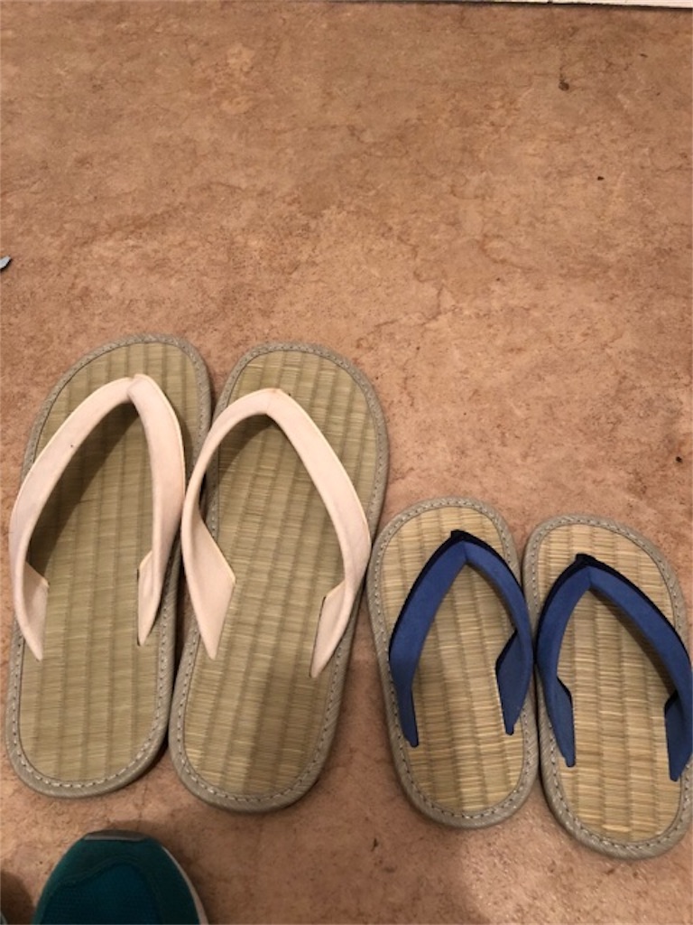 f:id:hoarder:20180722074539j:image f:id:hoarder:20180722074539j:image