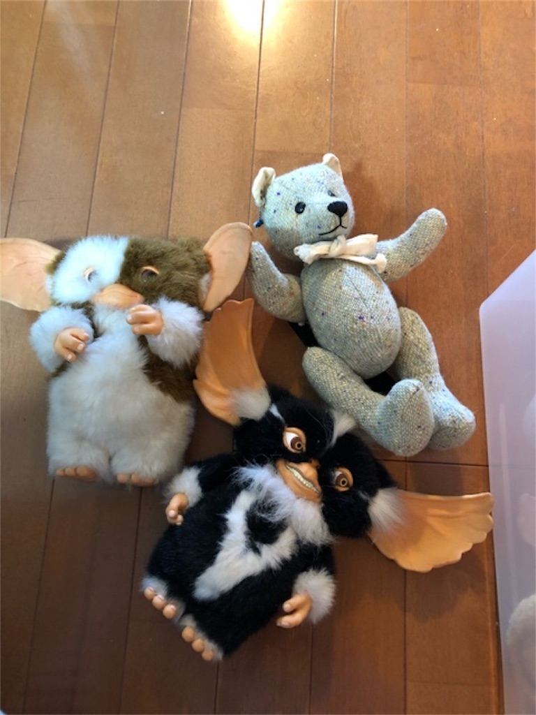 f:id:hoarder:20180722075108j:image