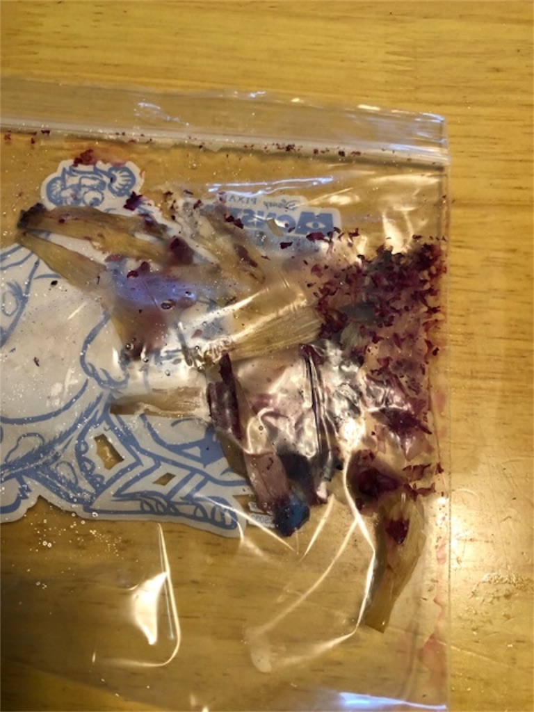 f:id:hoarder:20180813135217j:image