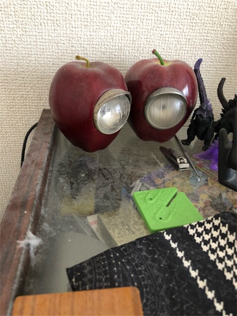 f:id:hoarder:20180814134021j:image