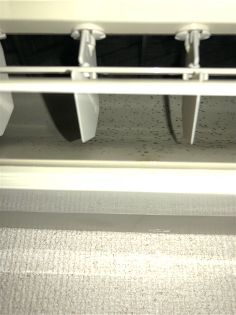 f:id:hoarder:20180814162408j:image