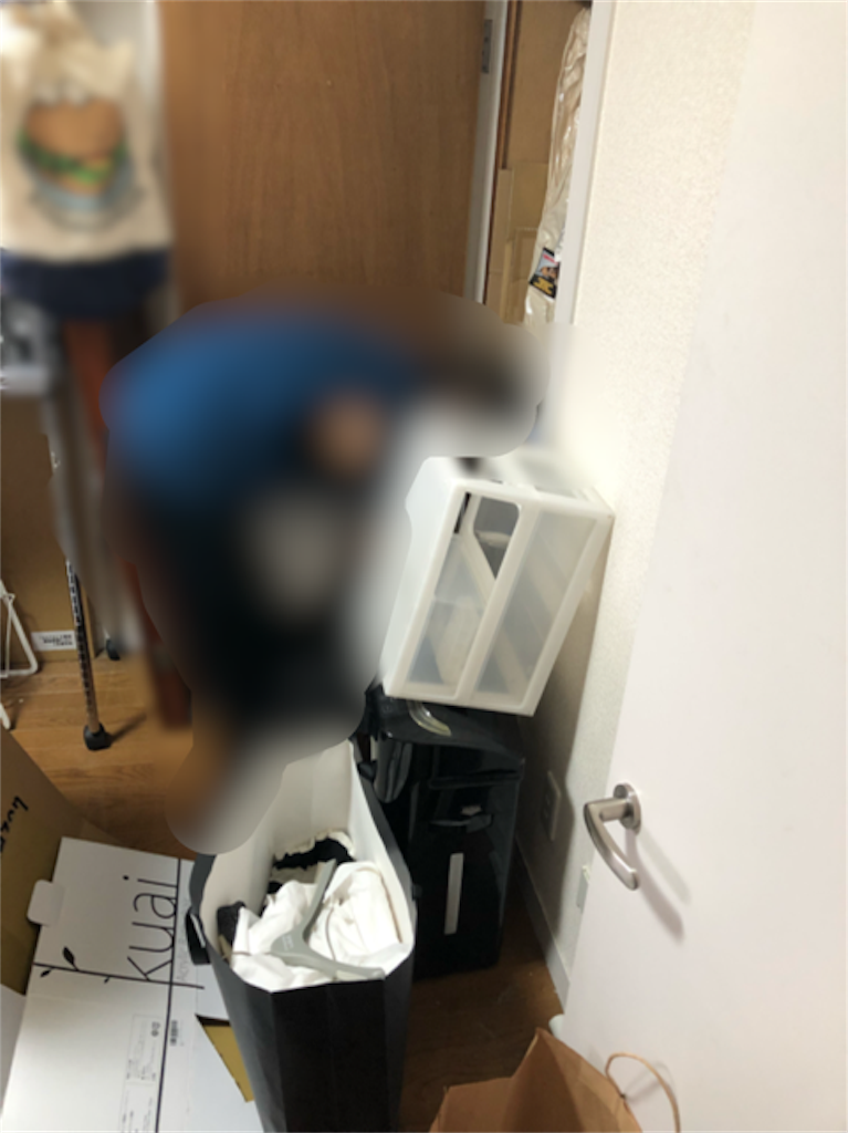 f:id:hoarder:20180820111741p:image f:id:hoarder:20180820111741p:image
