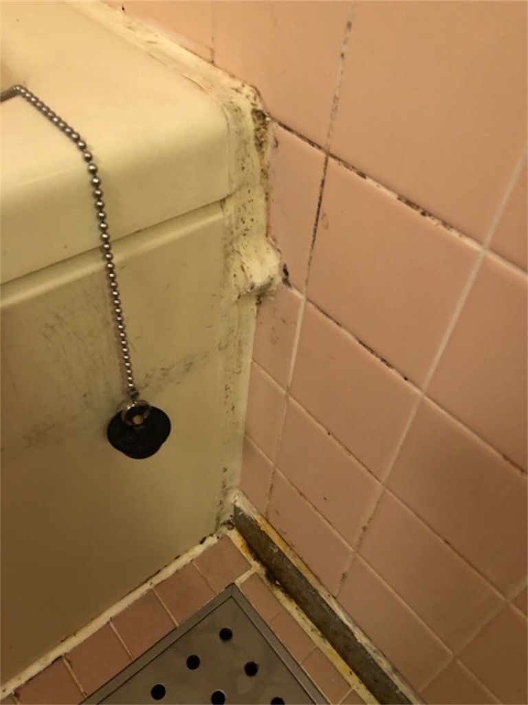 f:id:hoarder:20180826164509j:image