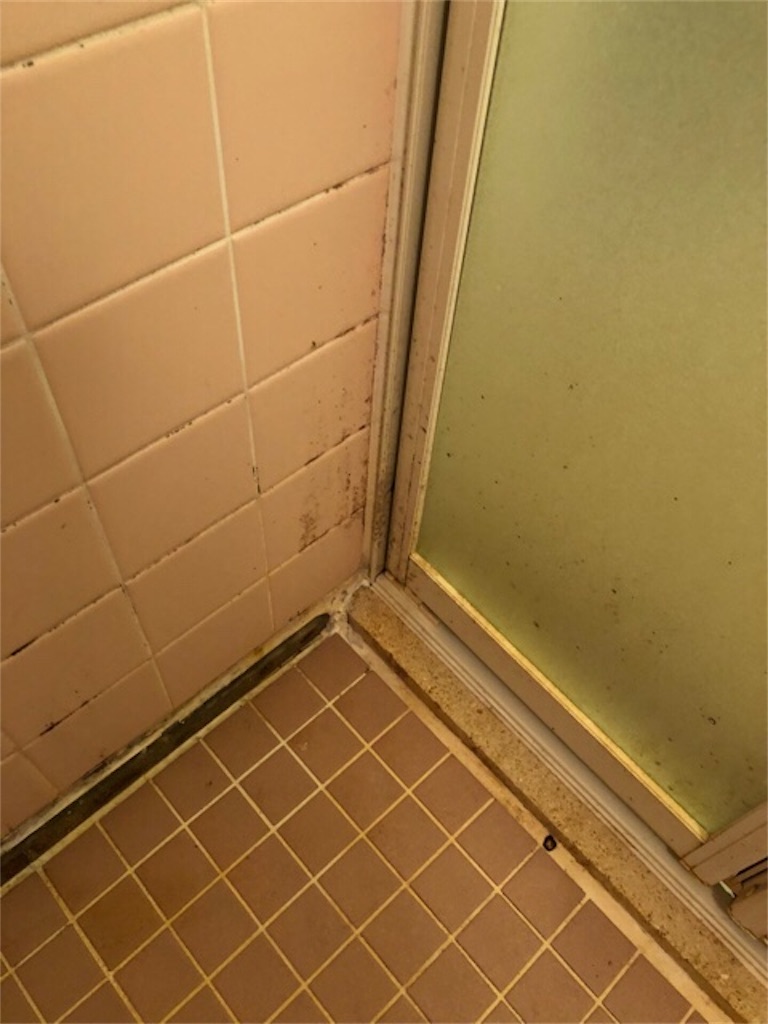 f:id:hoarder:20180830203143j:image