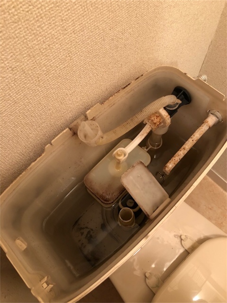 f:id:hoarder:20180909201808j:image f:id:hoarder:20180909201808j:image