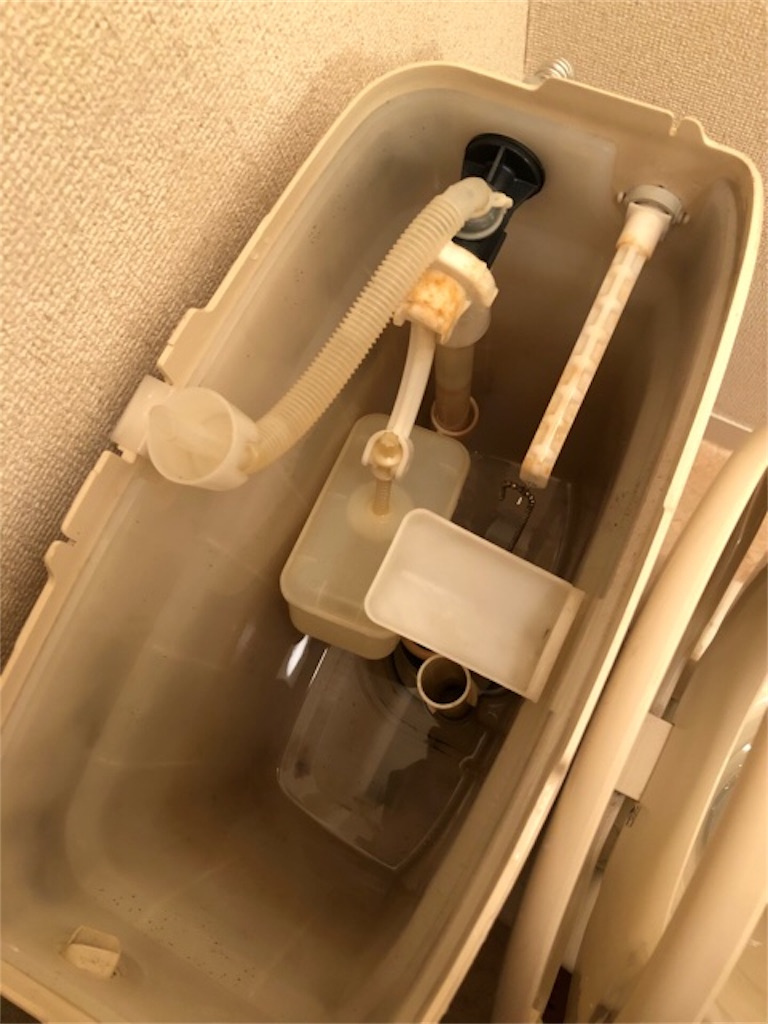 f:id:hoarder:20180909201810j:image f:id:hoarder:20180909201810j:image