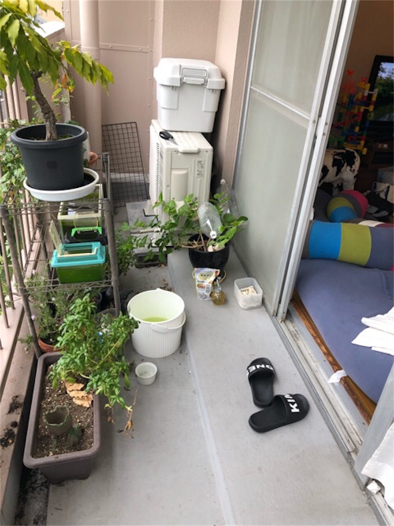 f:id:hoarder:20180930095343j:image