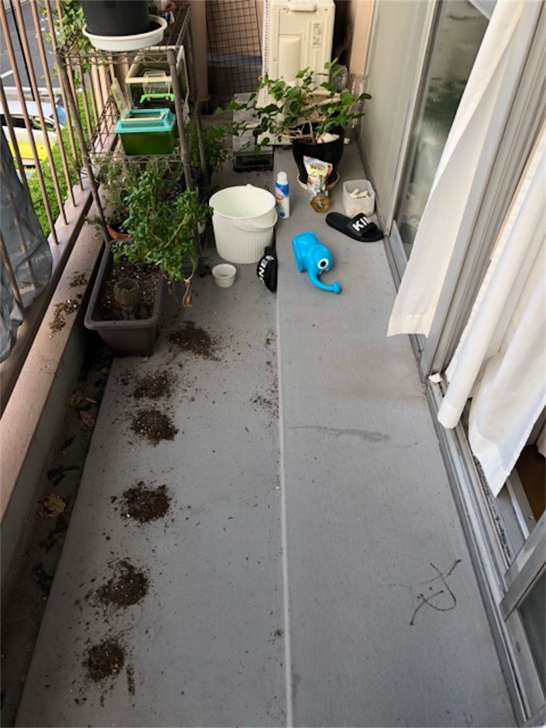 f:id:hoarder:20180930100227j:image