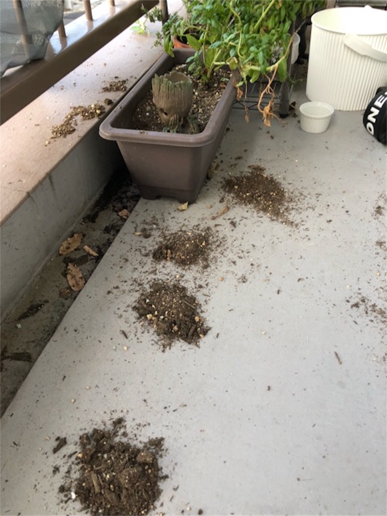 f:id:hoarder:20180930100242j:image