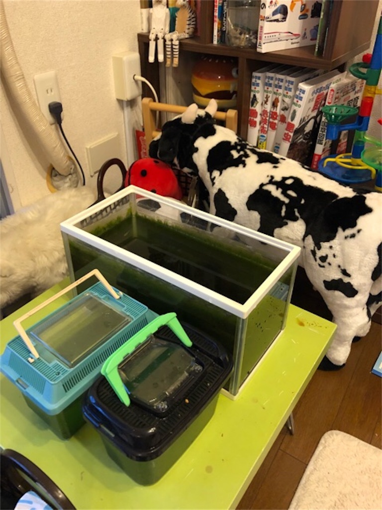 f:id:hoarder:20180930172726j:image