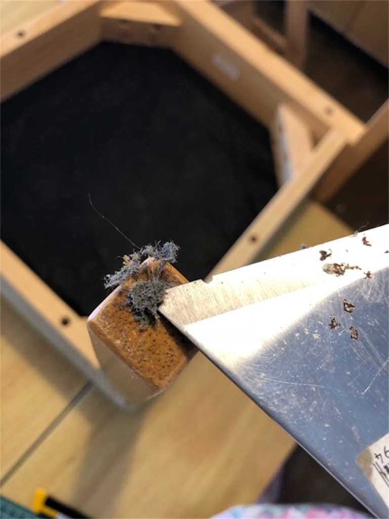 f:id:hoarder:20181118130056j:image