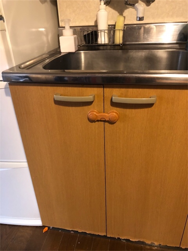 f:id:hoarder:20181201072807j:image