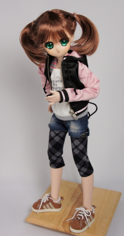 f:id:hobbiel55:20121227235748j:image:w360