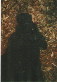 f:id:hobbiton:20090402151747j:image:w245 f:id:hobbiton:20090402151747j:image:w245