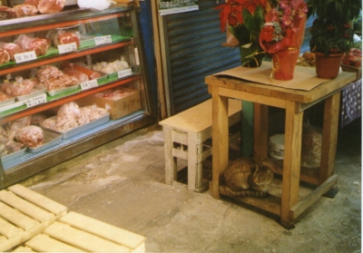 f:id:hobbiton:20110519214628j:image