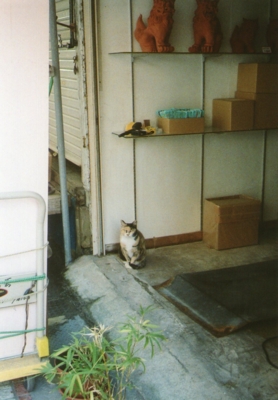 f:id:hobbiton:20110519214633j:image