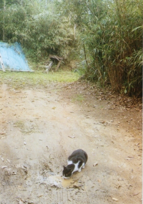 f:id:hobbiton:20110519214641j:image