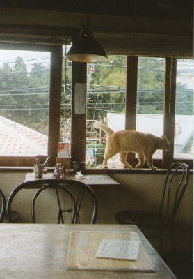 f:id:hobbiton:20110519214646j:image