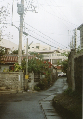 f:id:hobbiton:20110519214648j:image:w245