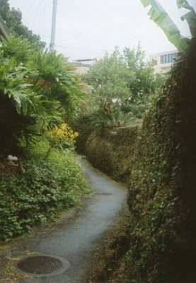 f:id:hobbiton:20110519222143j:image:w245