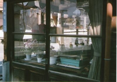f:id:hobbiton:20110519232343j:image f:id:hobbiton:20110519232343j:image