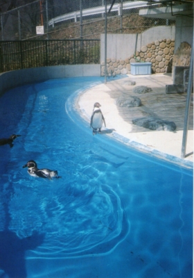 f:id:hobbiton:20110519232350j:image f:id:hobbiton:20110519232350j:image