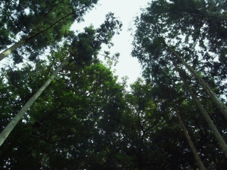 f:id:hobbiton:20110908170126j:image