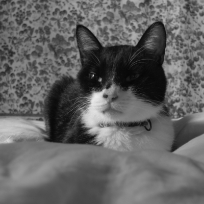 f:id:hobbiton:20111031115650j:image