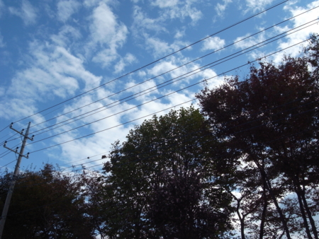 f:id:hobbiton:20111101154142j:image